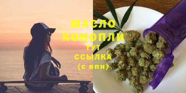таблы Гусев