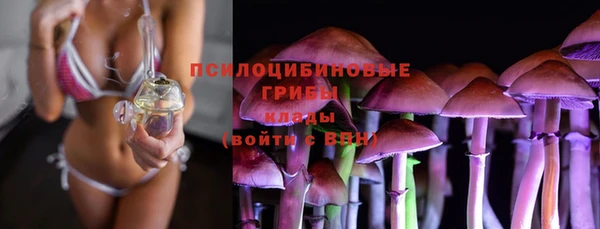 таблы Гусев