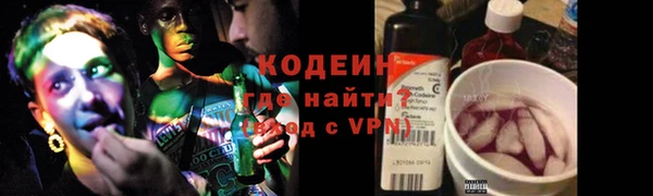 таблы Гусев