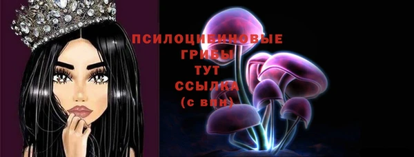 мет Гусиноозёрск