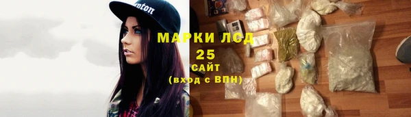 таблы Гусев