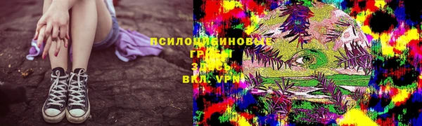 таблы Гусев