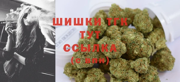 таблы Гусев