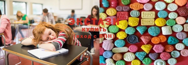 таблы Гусев