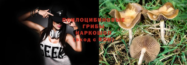 синтетический гашиш Гусь-Хрустальный