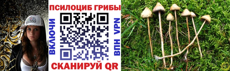 Галлюциногенные грибы MAGIC MUSHROOMS  Купить  Камешково 