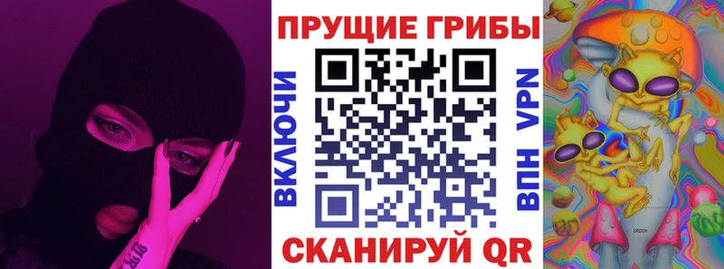 Псилоцибиновые грибы Psilocybe Камешково